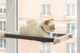 Лежаки Pet Joy Гамак white+gray на окно для кота 1 шт (wwhite1gray) - изображение 5