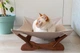Лежаки Pet Joy Лежак - гамак brown+beige для кота 1 шт (brown1beige) - изображение 1