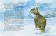 Коти. Такі, як ти (9786170985460) - зображення 4