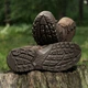 Черевики Lowa Zephyr GTX MID TF UK 9.5/EU 44 Dark Brown - зображення 8