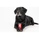 Таблетки для тварин ProVET Празістоп Ультра для собак 2 табл (антигельминтик) (4823082425037)A - изображение 4