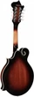 Мандолина Richwood RMF-60-VS - изображение 2
