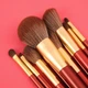 Набір пензликів для макіяжу DUcare Style Brush 12 sticks BB1203-XM - зображення 3