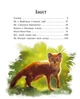 Редьярд Кіплінг. Казки далеких країн (9786170971357) - изображение 7
