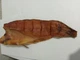 Балик товстолоба холодного копчення (шматки вакуум +- 500-700гр\шт), 1кг - зображення 3