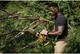 Мини-пила цепная аккумуляторная бесщеточная DeWalt DCMPS520N (5035048821404) - изображение 14