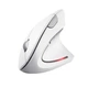Мышка Trust Verto Ergonomic Wireless White (25132) - изображение 1