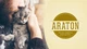 Повноцінний сухий корм для дорослих собак з ягнятиною ARATON LAMB Adult All Breeds 3кг - изображение 2