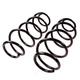 Пружина Tashiko передня Ford Mondeo V1.8 16V/2.0 16V 2000-2007 1136499 - зображення 3