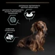 Сухой корм для собак Purina Pro Plan Small&Mini Adult Sensitive с ягненком 3 кг (7613036611268) - изображение 7