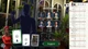 Ключ активации Clue для Xbox One/Series S/X - изображение 3