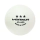 Набор мячей для настольного тенниса Weinixun W002 3 Star 6 мячей в комплекте White - изображение 4