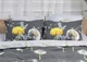 Набор наволочек Moon&Star Бязь Gold Люкс Dandelion 50х50 2 шт (MS-840000122) - изображение 1