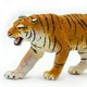 Фігурка Бенгальський тигр Safari Ltd 270829 - зображення 3
