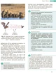 Біологія і екологія. Профільний рівень. Підручник. 10 клас (9786170943620) - изображение 2