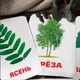 Карточки Домана "Деревья и их листья" на русском языке, 24 шт - изображение 3