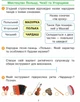 Мистецтво. 4 клас. Альбом + робочий зошит до підручника О. Калініченко, Л. Аристової - изображение 5