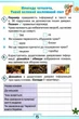 Я досліджую світ. 4 клас. Робочий зошит. Частина 1 (до підручника Волощенко) (9789669911247) - изображение 6