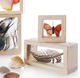 Набор Сокровища в прозрачных ящиках Guidecraft Natural Play G3084 - изображение 2