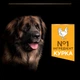 Сухой корм для собак Purina Pro Plan Large Robust Adult с курицей 14 кг (7613035120426) - изображение 7