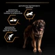 Сухой корм для собак Purina Pro Plan Large Robust Adult с курицей 14 кг (7613035120426) - изображение 8
