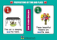 Gra planszowa Creativo Fun Card English Prepositions of Time and Place (9788366122192) - obraz 5