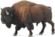 Фігурка Collecta American Bison 12.8 см (4892900889689) - зображення 1