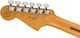 Электрогитара Fender Player Plus Meteora LTD Black - изображение 7