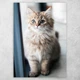 Плакат постер CupKit "Коты" №51 А3 42х29,7 см - изображение 1