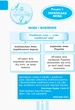 НУШ Перший довідник учня 1-4 класи (9786170926425) - изображение 3