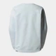Свитшот женский The North Face NF0A3S4GO0R1 XS Голубой (196575388640) - изображение 7