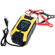 Автоматическое зарядное устройство для аккумулятора Pulse Battery Charger 6A JN96UG85V6 - изображение 1