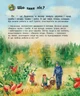 Ліс. Енциклопедія дошкільника (9786170936196) - изображение 2