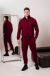 Мужской спортивный костюм на молнии без капюшона демисезонный DOPE 0002 L Бордовый (DP-0002/03 D ) - изображение 4