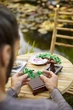 Конструктор LEGO Botanicals Дерево бонсай 878 деталей (10281) - зображення 4
