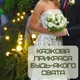 Світильник Лампочка 8 LED Для Саду Декоративний Водонепроникний Ліхтар Для Клумби на Дачу з Датчиком Світла на Сонячній Батареї - зображення 9