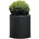 Горщик для квітів Keter Medium Cylinder Planter антрацит 229123 - зображення 2