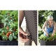 Горщик для квітів Keter Easy Grow графіт 230298 - зображення 5