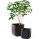 Горшок для цветов Keter Cube Planter M коричневый 229533 - изображение 6
