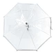 Дитяча парасолька-тростина прозора Fulton Funbrella-2 C603 Silver (Срібний) - зображення 2