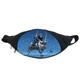 Поясная сумка бананка Холодное сердце Frozen (GB-FR 04) Gear Bag черная - изображение 1
