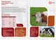 Комбикорм Purina Престартер для телят та ягнят 25кг 30001 - зображення 3