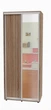 Шкаф-купе двухдверный Алекса 100*45*230 см Дуб Сонома трюфель 2 двери ДСП + Зеркало - изображение 1