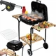 Вугільний гриль Curron GM3000 43x40см + розпалювач - зображення 1