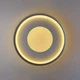 Люстра світлодіодна стельова LUMINARIA LAKE 100W R500 APP WHITE/GRAY 220V IP20 світильник з пультом ДУ - зображення 3