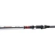 Вудлище серфове Daiwa Seahunter Surf 4.20m 100-250g - зображення 2