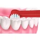 Детские насадки для зубной щетки Oral B Braun на зубную щетку орал би браун Dental Man EB 10 сменные красные мягкая щетина универсальные насадка детская мягкая набор 4 шт для зубов десен и межзубных промежутков на орал б - изображение 13