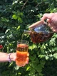 Чай Китайський Червоний Дянь Хун Мао Фен Tea Space 25 грамів. - зображення 4