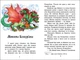 Книга Українські казки Тверда Обкладинка С1859004У 9786170986382 - зображення 2