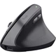 Мышка Trust Bayo 2 Ergonomic Wireless/USB-A Black (25145) - изображение 1